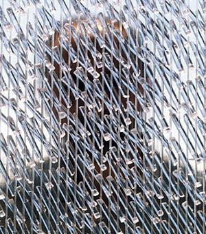Rain Sculpture 0300
